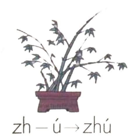 《汉语拼音8 zh ch sh r》学参考图片,教案,教学
