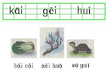 《汉语拼音9 ai ei ui》教学设计