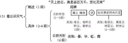 看云识天气教案_看云识天气教案