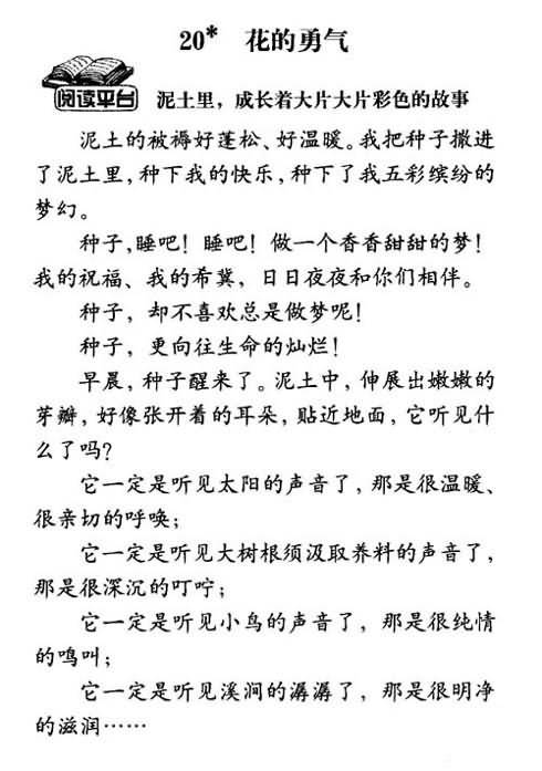 《花的勇气》快乐练习:语文练习,教案,教学反思