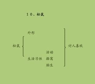 《松鼠》结构分析,教案,教学反思,说课,新学网