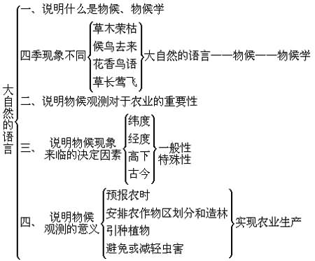 《大自然的语言》结构分析,教案,教学反思,说课